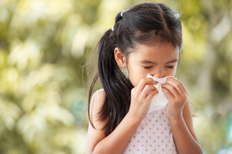 Allergy